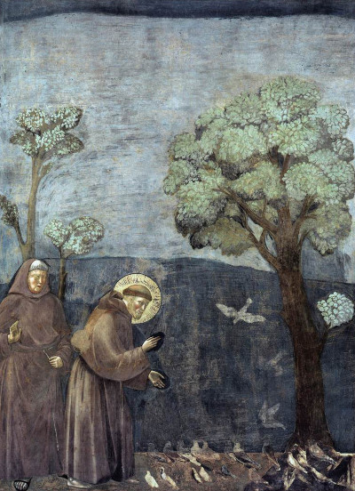 Der heilige Franziskus predigt den Vögeln (St Francis Preaching to the Birds) Giotto